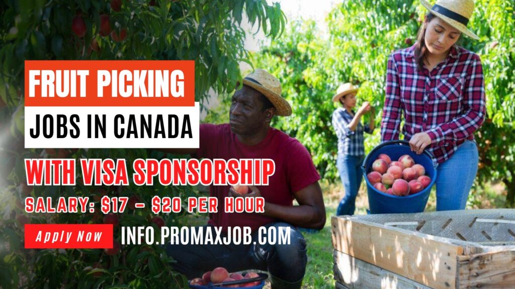 Fruit Picking Jobs in Canada