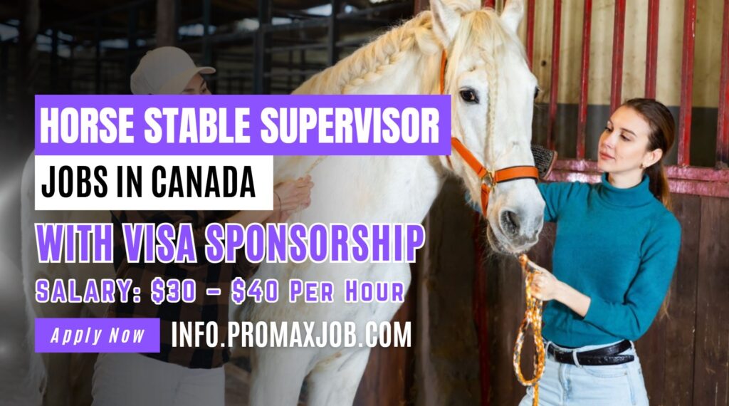 Horse Stable Supervisor Jobs in Canada