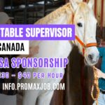 Horse Stable Supervisor Jobs in Canada