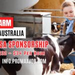 Dairy Farm Jobs in Australia